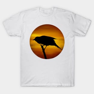 Redwing Blackbird Marsh Sunset T-Shirt